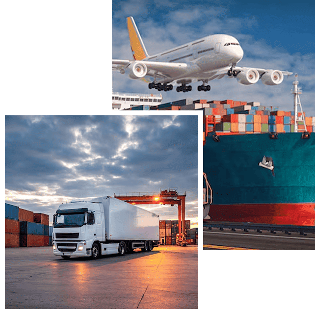 About Pacific Express Cargo